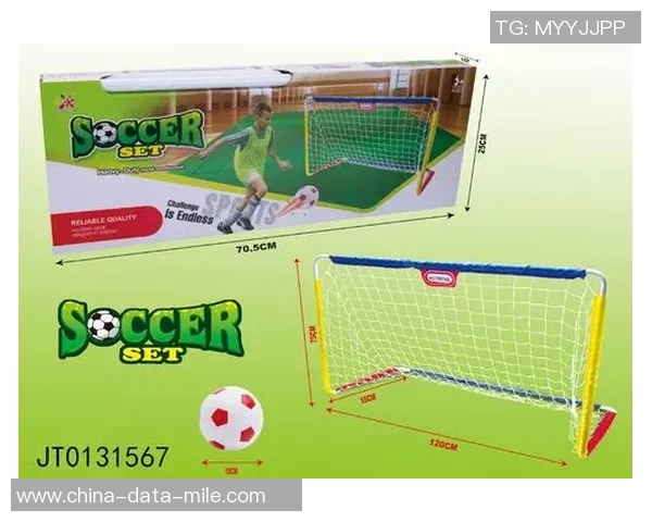 足球门网价格解析及选购指南助您轻松找到性价比高的产品